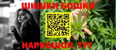дурь Камышлов
