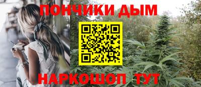 дурь Камышлов