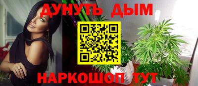 mdpv Кандалакша