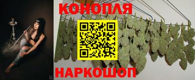 дурь Камышлов