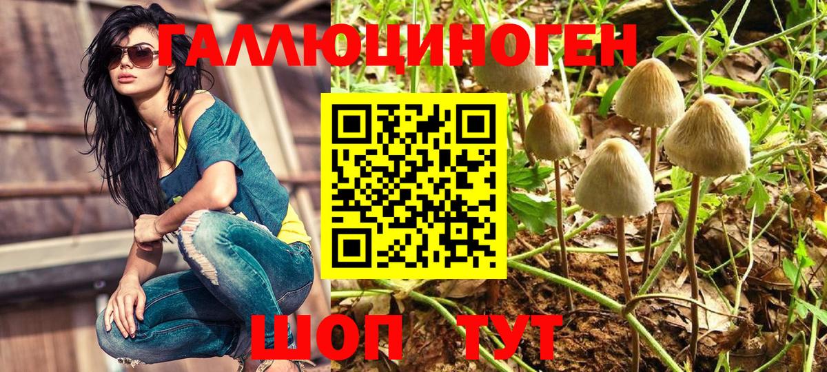 Галлюциногенные грибы Magic Shrooms  Вход с VPN  цена наркотик  Галлюциногенные грибы MAGIC MUSHROOMS  Мичуринск 